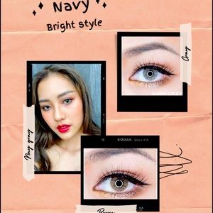 Navy gray& brown natural eyecolor eyeshadow